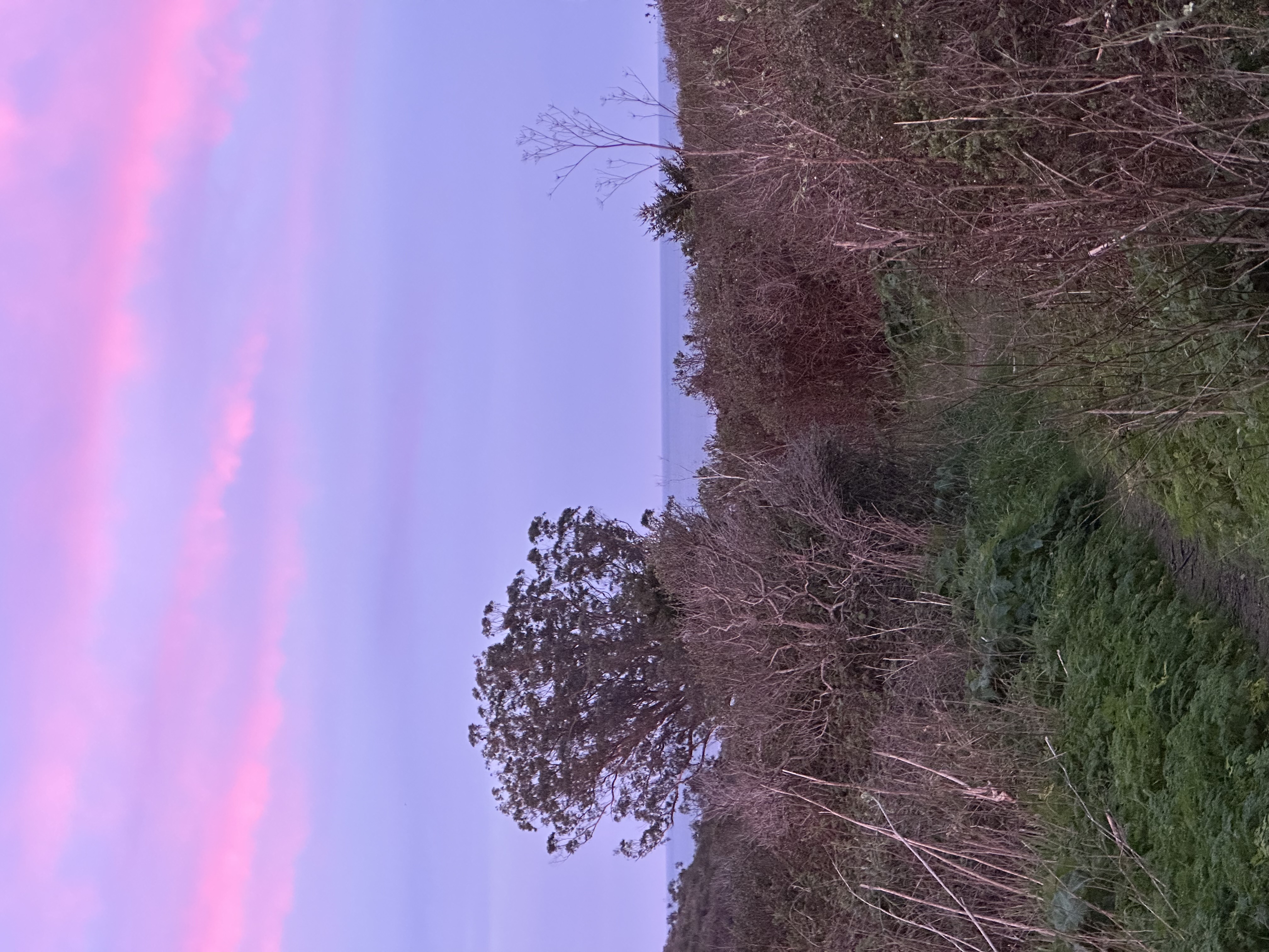 Pink sky Sunday morning